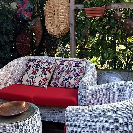 La Casa Di Marla Bed & Breakfast